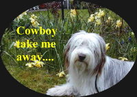 Country music